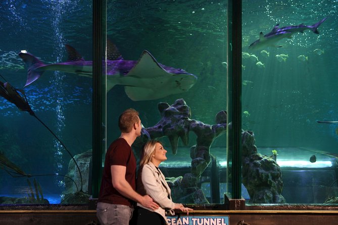 SEA LIFE Blackpool Admission Ticket - Themed Habitats: Ocean and Jungle Environments