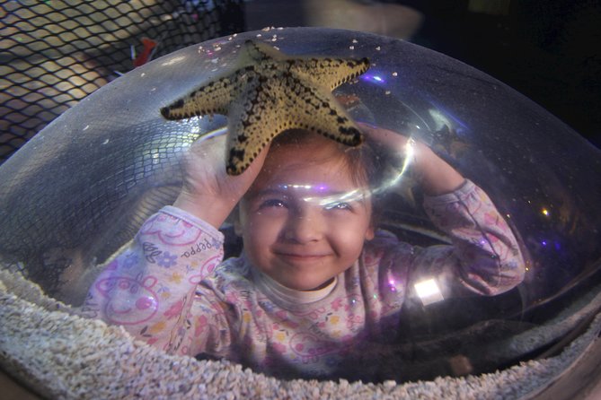 SEA LIFE Blackpool Admission Ticket - Accessibility and Practical Tips for Visitors