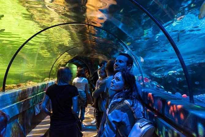 SEA LIFE Brighton Admission Ticket - Explore the Rainforest Zone with Tropical Creatures