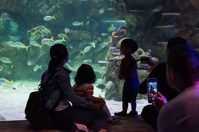 SEA LIFE Brighton Admission Ticket - Educational Programs and Community Initiatives