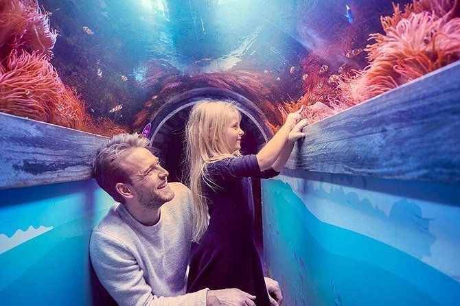 SEA LIFE Brighton Admission Ticket - Practical Tips and Accessibility