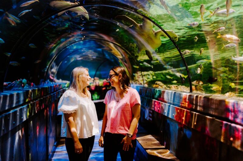 Sea Life Brighton Admission Ticket - Dive into the Underwater World at Sea Life Brighton