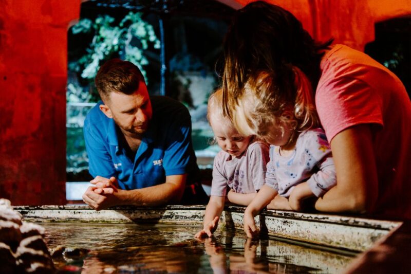 Sea Life Brighton Admission Ticket - Encountering the Rainforest Adventure and Seahorse Nursery