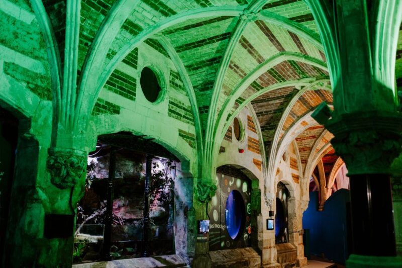 Sea Life Brighton Admission Ticket - The Glass-Bottom Boat Adventure