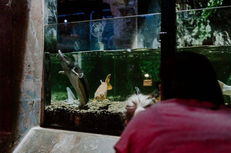 Sea Life Brighton Admission Ticket - Practical Tips for Visiting Sea Life Brighton