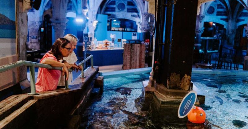 Sea Life Brighton Admission Ticket - Who Will Enjoy This Tour?