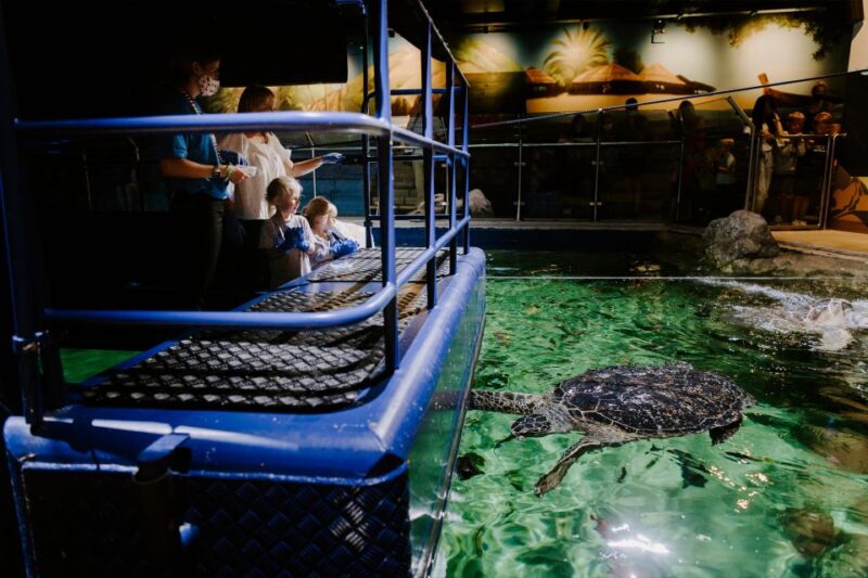 Sea Life Brighton Admission Ticket - Frequently Asked Questions