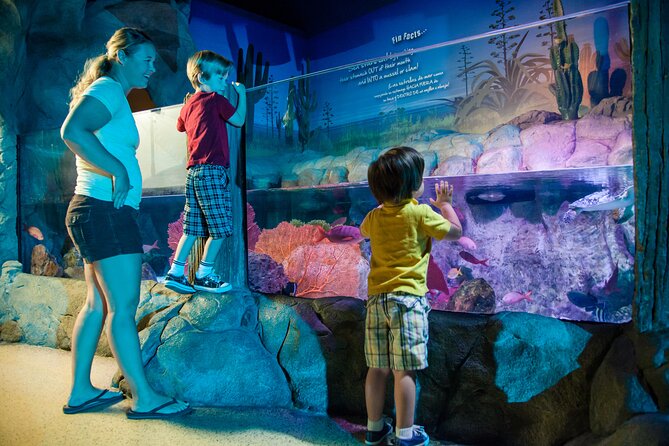 Sea Life Charlotte Concord Aquarium Admission Ticket - What Marine Life Can You Expect to See?