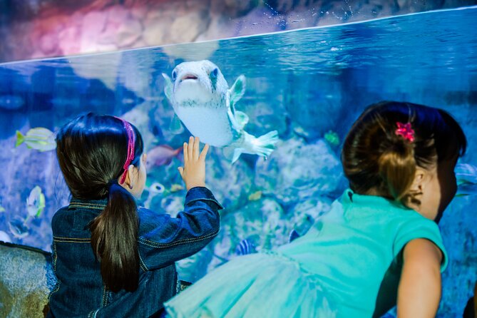 Sea Life Charlotte Concord Aquarium Admission Ticket - Pacing, Duration, and Visitor Experience