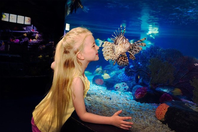 SEA LIFE Great Yarmouth General Admission - Key Points