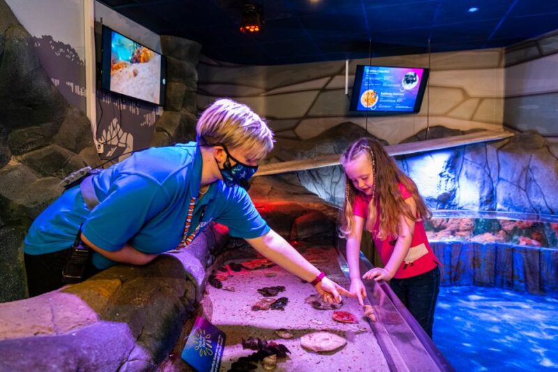 Sea Life Hunstanton - Key Points