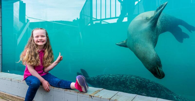 Sea Life Hunstanton - The Ocean Tank: A Marine Marvel