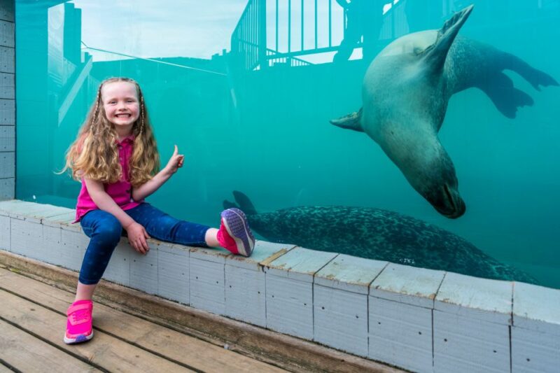 Sea Life Hunstanton - Booking, Cancellations, and Flexible Plans