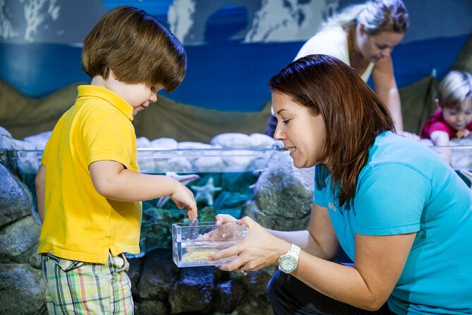 SEA LIFE Kansas City Aquarium Admission Ticket - Visiting the Crown Center Location for Sea Life Aquarium Kansas City