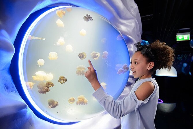 SEA LIFE London Aquarium Admission Ticket - Explore London’s Marine Life at SEA LIFE London Aquarium