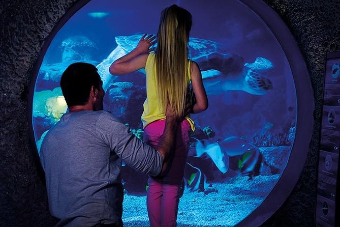 SEA LIFE Manchester Admission Ticket - Notable Marine Life and Key Exhibits