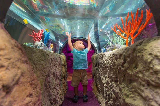 SEA LIFE Michigan Aquarium Admission Ticket - The Aquariums Themed Exhibits and Marine Displays