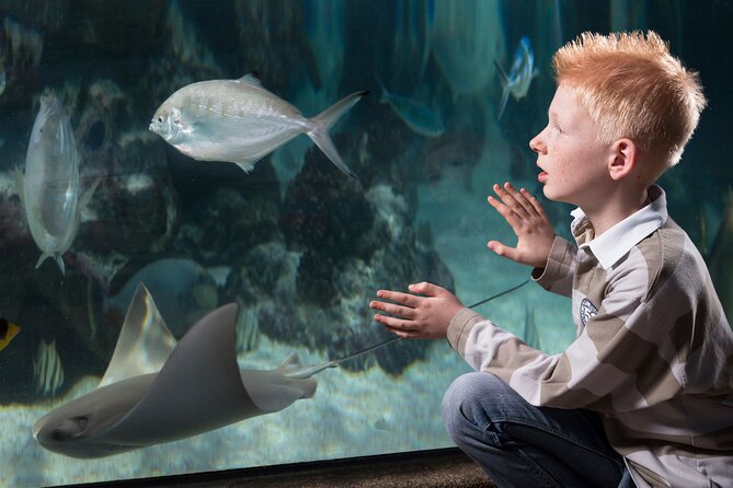 SEA LIFE Michigan Aquarium Admission Ticket - Daily Animal Feedings and Educational Talks
