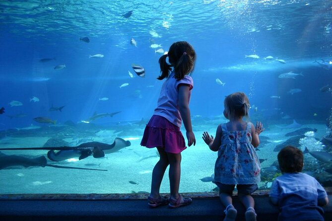 SEA LIFE Munich Admission Ticket - Explore the Marine Life of Munich with a Skip-the-Line Ticket