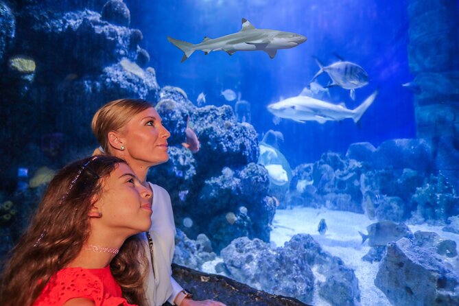 SEA LIFE Munich Admission Ticket - Key Points