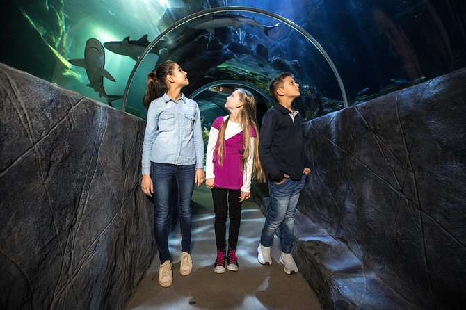 SEA LIFE Munich Admission Ticket - Marine Environments from Local Rivers to Tropical Seas
