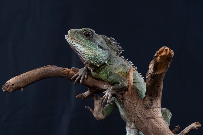 SEA LIFE Munich Admission Ticket - Considerations Based on Visitor Feedback