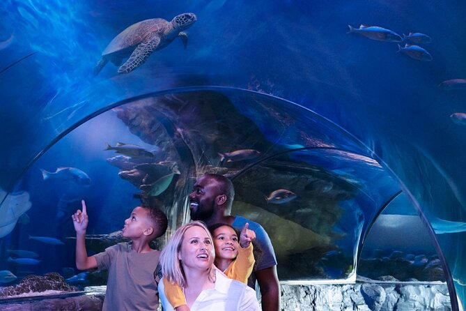 SEA LIFE Orlando Aquarium - Educational Talks and Animal Feedings
