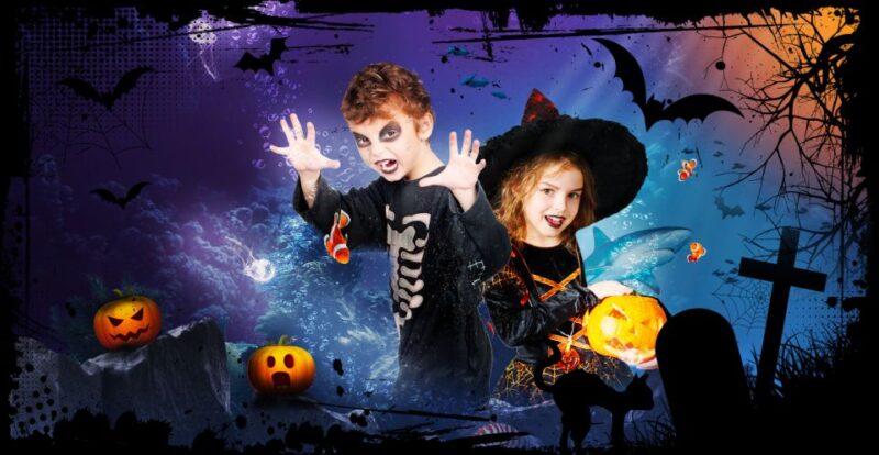 SEA LIFE Paris: Admission Ticket - Immerse Yourself in the Waterworld of SEA LIFE Paris