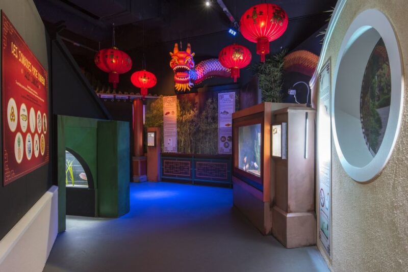 SEA LIFE Paris: Admission Ticket - Practical Details: Meeting Point and Accessibility