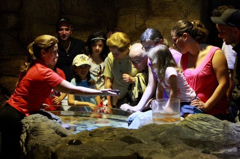 SEA LIFE Porto Full-Day Entrance Ticket - Experience Educational Talks and Feeding Demonstrations
