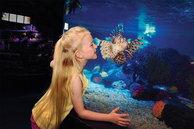 SEA LIFE San Antonio Admission Ticket - Discover the Underwater World at SEA LIFE San Antonio