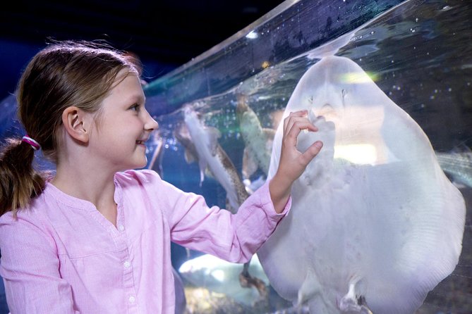 SEA LIFE San Antonio Admission Ticket - Key Points