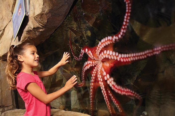 SEA LIFE San Antonio Admission Ticket - Practical Information and Ticket Options