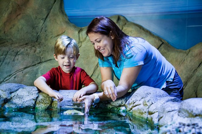 SEA LIFE San Antonio Admission Ticket - Visiting Logistics and Accessibility