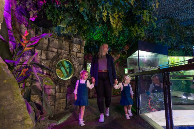 Sea Life Scarborough - The Highlights of the Interactive Rockpool Experience