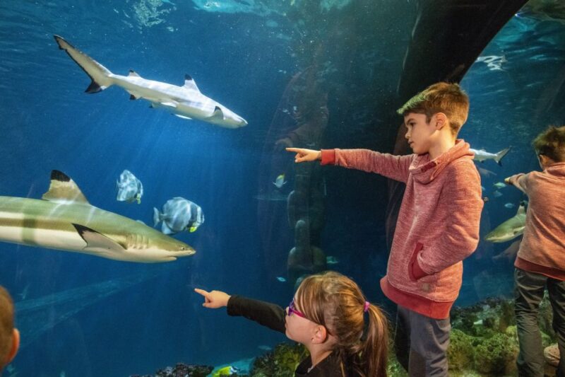 Sea Life Speyer Ticket - Discover the Underwater World at Sea Life Speyer