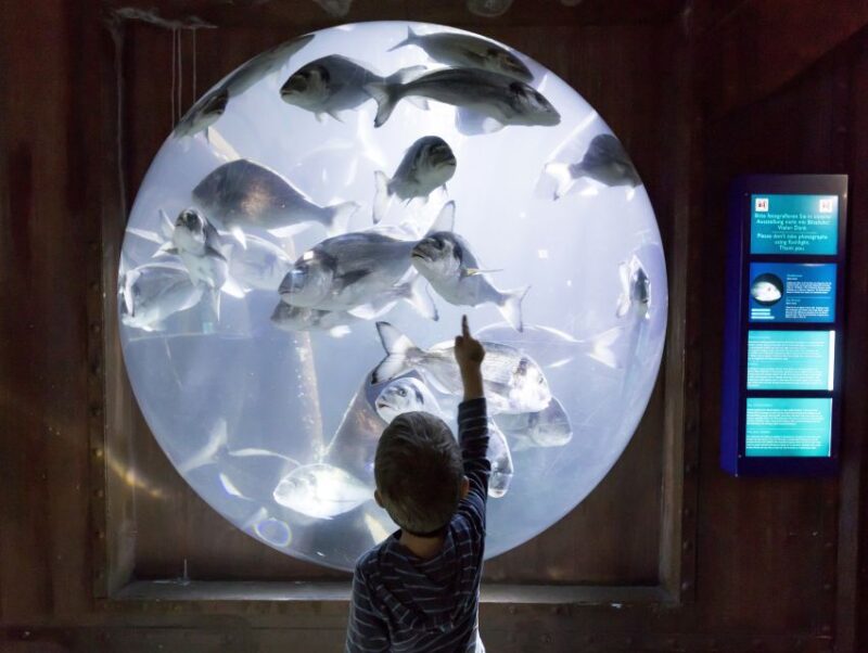 Sea Life Speyer Ticket - Daily Feeding Sessions and Interactive Encounters