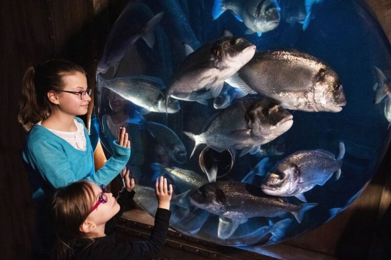 Sea Life Speyer Ticket - Cost-Effective and Flexible Booking Options