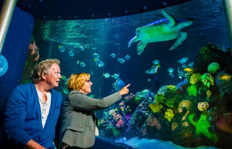 SEA LIFE Timmendorfer Strand Ticket - Seven Themed Areas Showcasing Ocean and Jungle Habitats