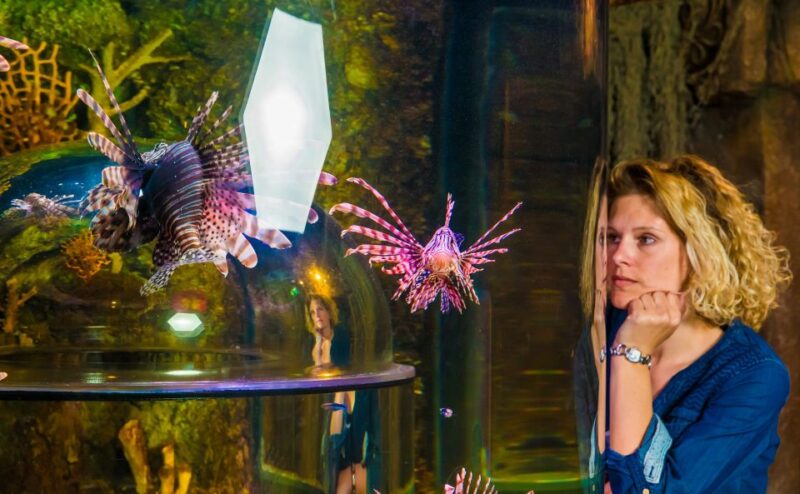 SEA LIFE Timmendorfer Strand Ticket - Conservation and Education Focus