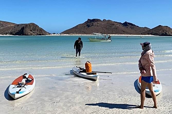 Sea Lions & Mega-Paddleboard Tour in Balandra - Delicious Homemade Ceviche on a Remote Balandra Beach