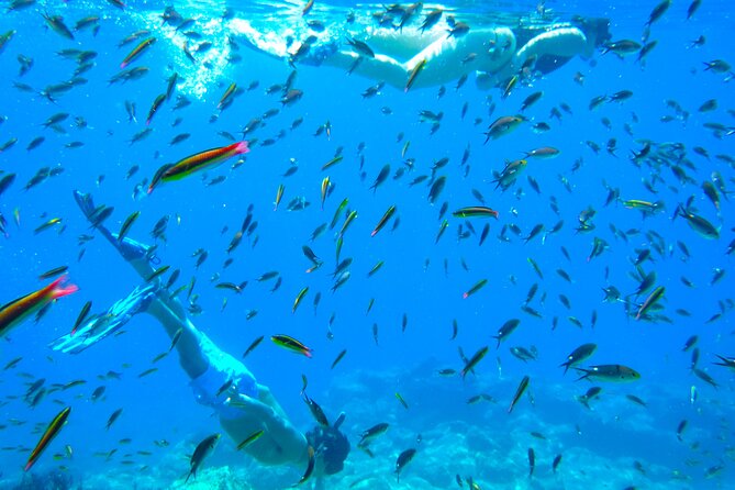 Sea of Cortez Combo: Whale Sharks, Sea Lions & Balandra Beach - The Role of the Guides and Customer Service