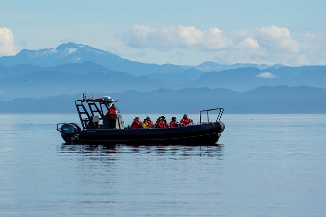Sea Otter and Whale Watching Tour on Northern Vancouver Island - Expert Guides Who Know the Waters and Wildlife