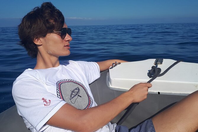 SEA SAFARI Dolphins, Whales, 3h speedboat DISCOVERY-TOUR - The Speedboat Adventure: Covering Ground Quickly and Safely