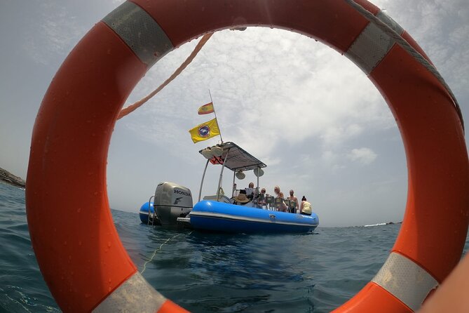 SEA SAFARI, Dolphins, Whales, snorkeling, snack and drink, 2 h speedboat - Group Size and Personal Attention