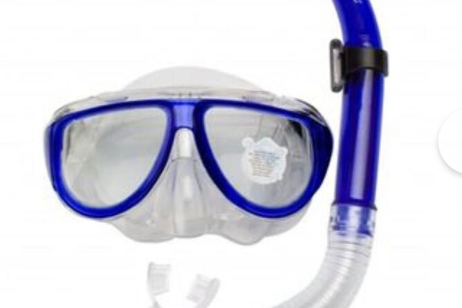 SEA SAFARI, Dolphins, Whales, snorkeling, snack and drink, 2 h speedboat - Comparing with Similar Tours in Tenerife