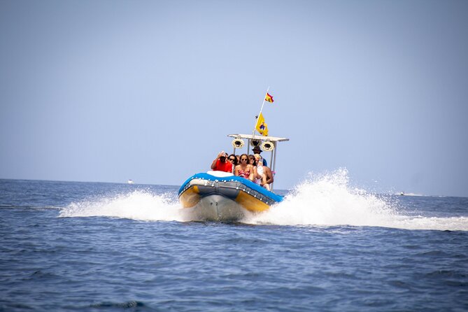 SEA SAFARI Dolphins,Whales, snorkeling, snack, drink, 3h private - Key Points