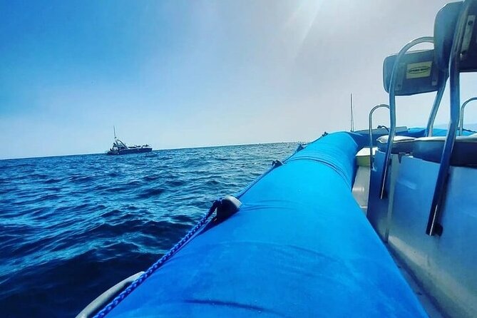 SEA SAFARI Dolphins,Whales, snorkeling, snack, drink, 3h private - Food and Drinks Included for Convenience