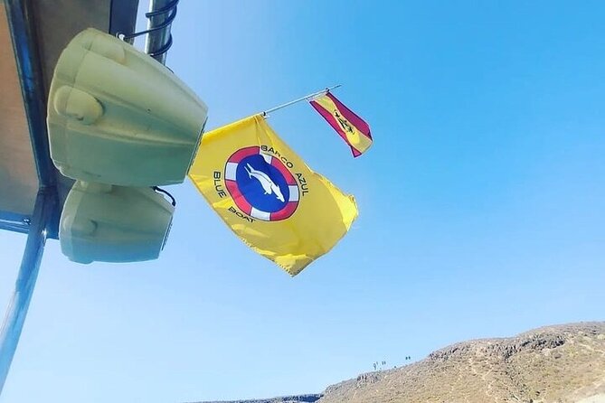 SEA SAFARI Dolphins,Whales, snorkeling, snack, drink, 3h private - Meeting Point and Easy Access in Playa de la Américas