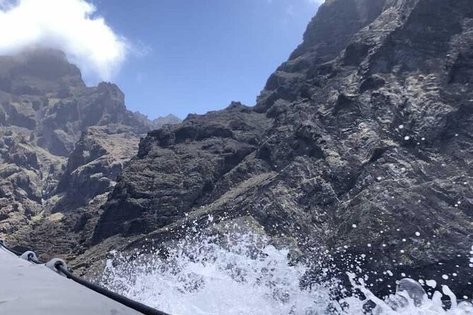 SEA SAFARI Dolphins,Whales, snorkeling, snack, drink, 3h private - Who Should Consider This Tour?